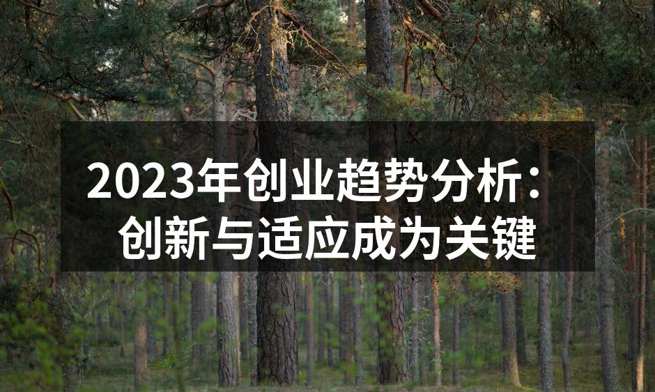 2023年创业趋势分析：创新与适应成为关键