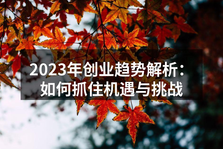 2023年创业趋势解析：如何抓住机遇与挑战