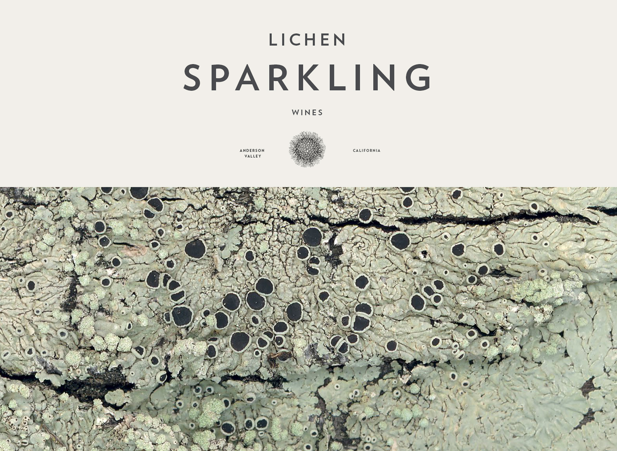 lichen-5